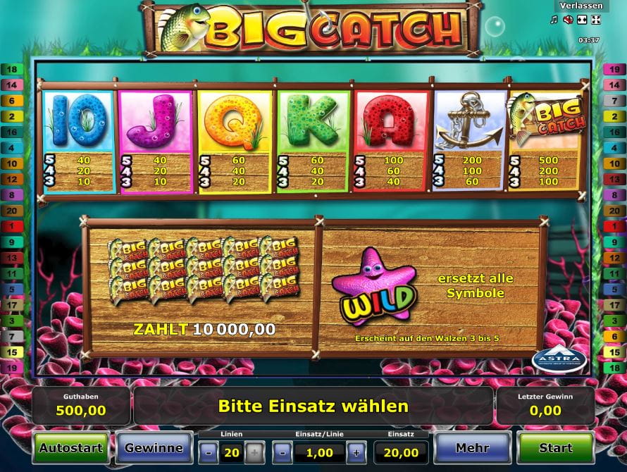 Big Catch online