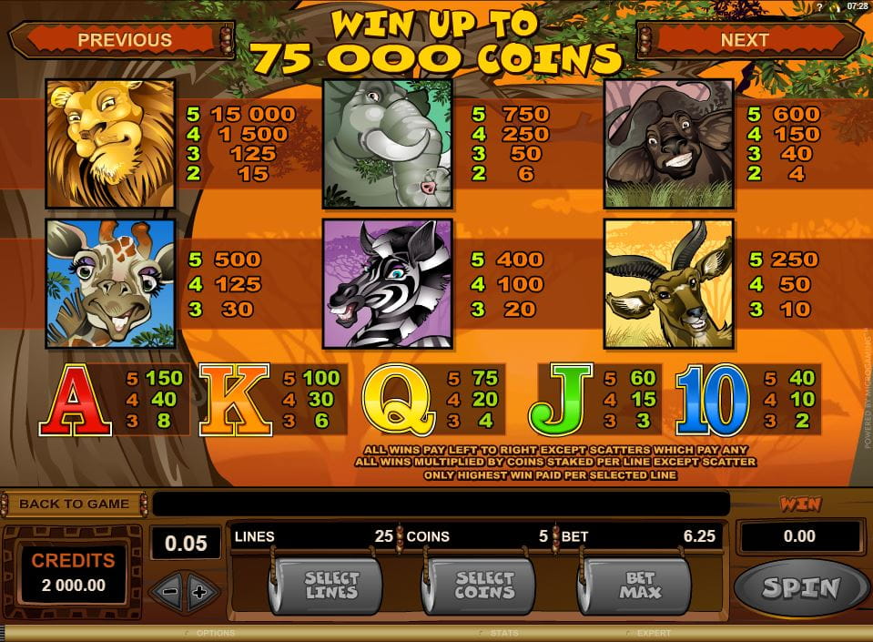 Microgaming Mega Moolah Slot